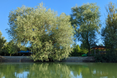 PXL_20220703_053947378.MP_