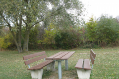 20181026_IMG_3361-scaled