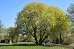 20200416-Geaende-in-Covid-12-scaled