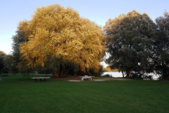 20200826_194156-scaled