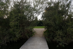 20200826_194502-scaled