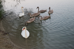 20200915_192516-scaled