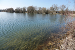 20210307_DSC01189-scaled