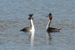 20210307_DSC01191-Kopie-2