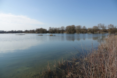 20210307_DSC01195-scaled