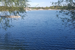 20210509_184236-scaled