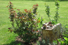 20210829_IMG_4143-scaled