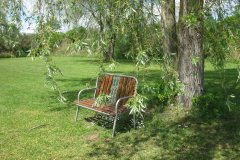 20210829_IMG_4148-scaled