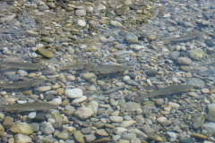 20210829_IMG_4179-scaled